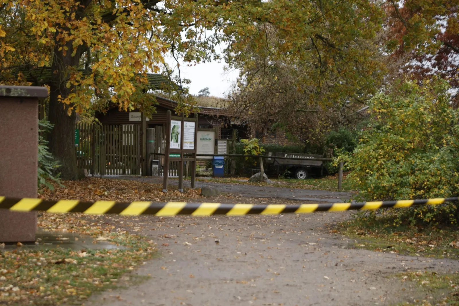 Wolf Attack Leaves 8-Year-Old Girl Critical at Johannismühle Wildlife Park