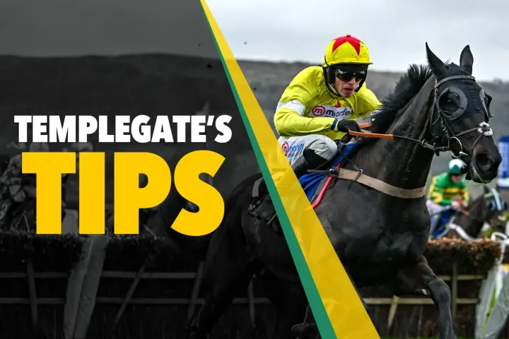 Templegate Highlights Saturday Racing Picks with 'Jet to Vegas' as Top Bet