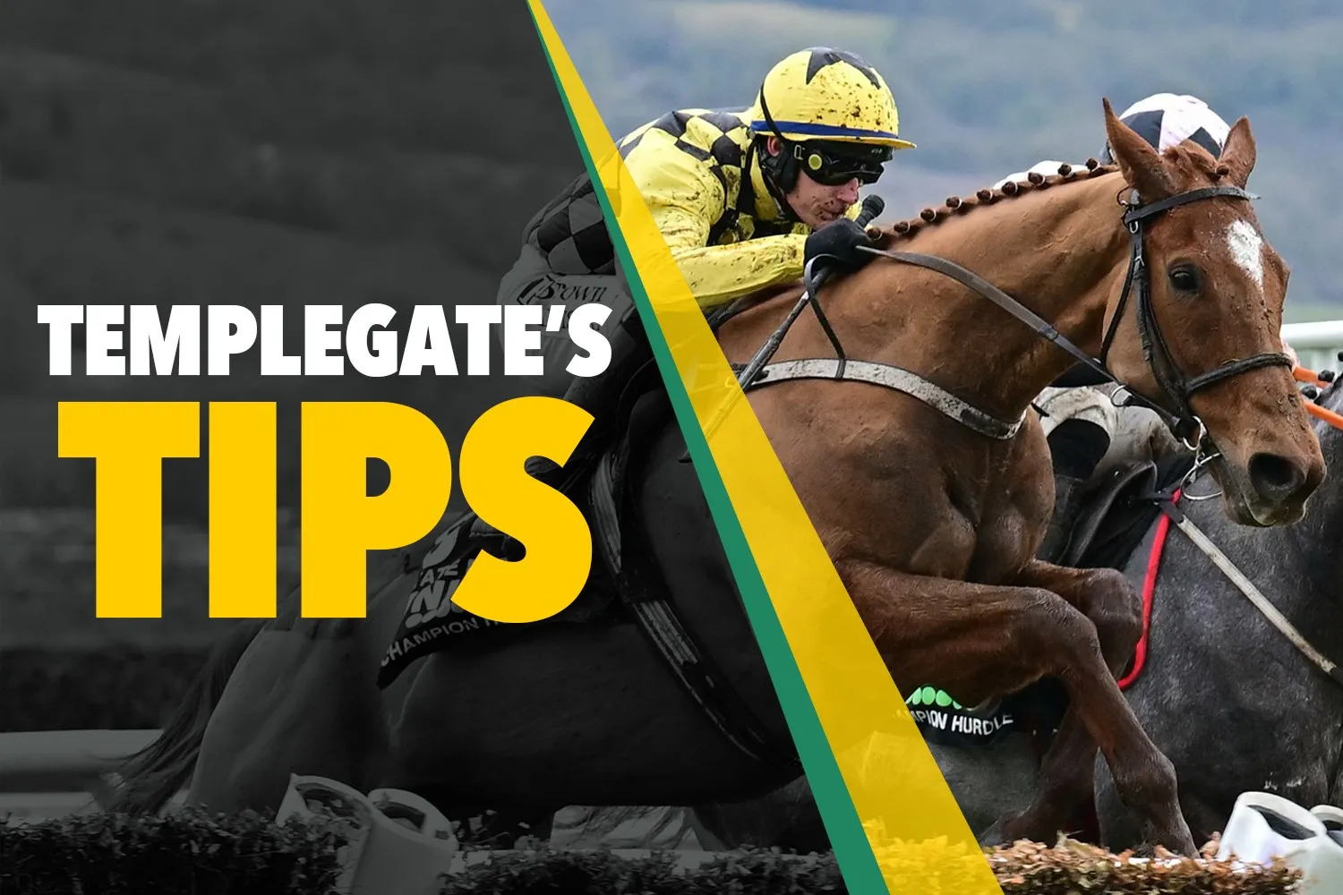 Templegate Picks Tuesday's Top Horse Racing Bets