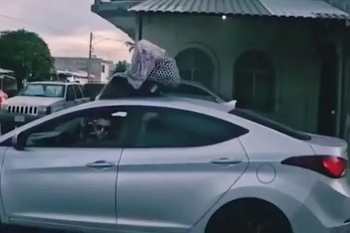 Man Drives with Baby Carrier on Car Roof in Torreon After Forgetting Infant Inside