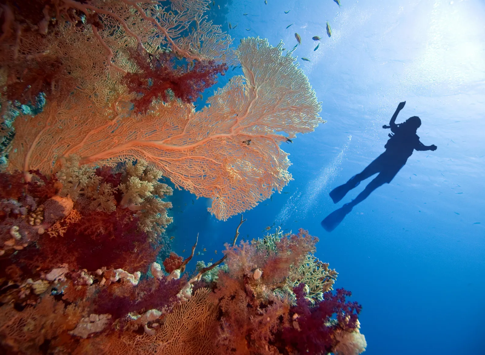 Brits Turn to Low-Cost North African Resorts With Waterparks and Private Beaches
